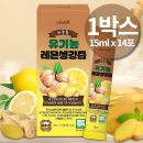 진저