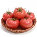 올데이피티 이미지