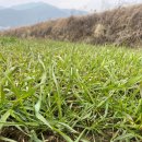 순영농장 이미지