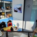 동편동물병원 이미지