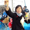 주문진PC 이미지