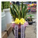 신흥동017 이미지