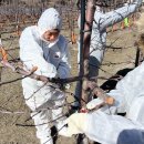 전북특별자치도농업기술원 이미지