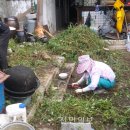 풍남동주민센터 이미지