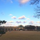 평대초등학교 병설유치원 이미지