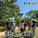 해달 어린이집(유치원) | 인천 서구평생학습관 성인 숲해설 후기