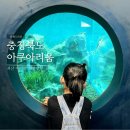 상어활어회센타 | 충북 괴산 아쿠아리움 실내 아이와 가볼만한 민물고기 전시관 입장료 무료