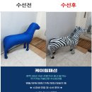 케이원패션 이미지