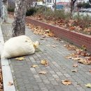 논공읍사무소 이미지