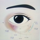 (주)메디케어플러스 | 내돈내산 다크써클 없애기 눈밑지방재배치 국소마취 당일 현실 후기(지방이식 x)