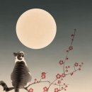 풀문(Full Moon) - 춘천시 | 풀문(Full Moon)