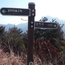 고양고등학교 이미지