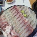 성당에덴타운 | 대구 횟집 성당 물회 회타운 신선한 활어회부터 다양한 해산물 요리