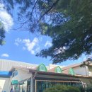 양재시민의숲 공원 테니스장 이미지