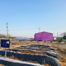 은현농장 이미지