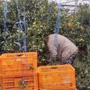 갈매농장 이미지