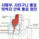 손흥민 리버풀전 스포츠탈장 재발 의심 장면 이미지