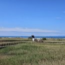 유일카센타 이미지