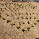 밧개플레이스 이미지