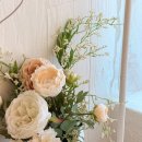 그림자의 그림자(홀 | [동래] 스무스, 동래역 디저트카페 블루리본까지 받은 여기는 몰라서 못가는 곳... 알려드려요!! 솔직 후기