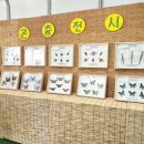 진수농장 | 김포 아이와 가볼만한곳, 직접 만지고 배우는 김포 곤충농장 체험 후기