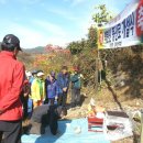 강진면사무소 이미지