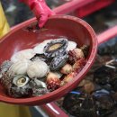 보고상회 이미지