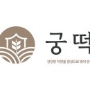노아궁떡