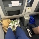 브뤼셀 | Air Transat (에어트랜젯) 브뤼셀-몬트리올 왕복 후기