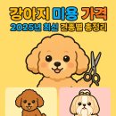 쇼독동물병원 | 강아지 미용 가격 2025년 최신 견종별 총정리