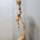용천농장 Daum카페