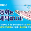 신발운동화이불크리닝