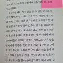 내가 되는 꿈 - 최진영작가 이미지