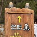 에버랜드 10/27 방문 판다월드 현장줄서기 후기(+푸바오, 러바오 보고왔어요!)