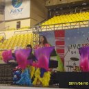 레드폭스 이미지