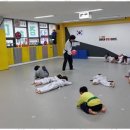 멘토태권도교육관 이미지