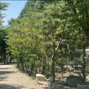 좋은하루캠핑장 이미지