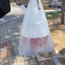 한솥도시락조선대점 이미지