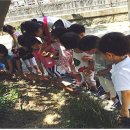 보림어린이집 이미지