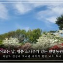 벧엘농원 네이버블로그