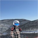 예산장갑 | 곤지암리조트스키장 덕분에 예산 세이브했던 후기