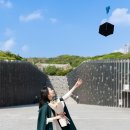 협동조합 인생학교 봄 | 이화여대 졸업스냅 2인 촬영 리얼후기 │ ECC·본관 계단 인생샷 완성하는 법