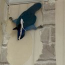 모란야구장 | 멸종위기사랑, 아니 사람(나)