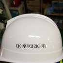 다이후쿠코리아(주)