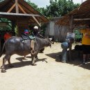 르셀약국 이미지