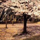 자산관리와 재테크 이미지