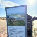 아르누보 | [제주] 안도 다다오만의 건축으로 표현한 제주도가 담긴 유민 아르누보 뮤지엄 후기(feat. 셜록현준)