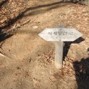 강남-293 이미지