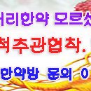 속치마를 훌렁 들어올리고 이미지