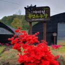 선두농장 이미지